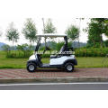 vente chaude 2 places golf électrique buggy